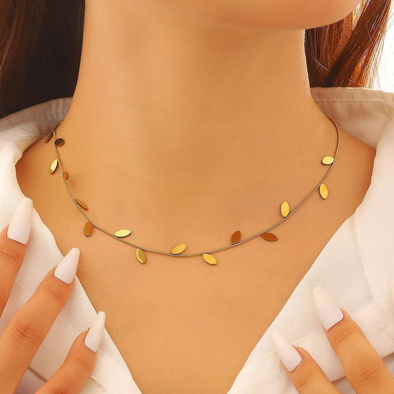Conjunto pequenas folhas