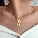 colar com pingente, colar banhado a ouro, corrente de aço inoxidável, colar aço inoxidável, colares em aço inoxidável, colar cão e gato de aço inoxidável